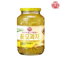 액상 대추 유자차 액상/ 오뚜기 힐링타임 꿀모과차 1kg