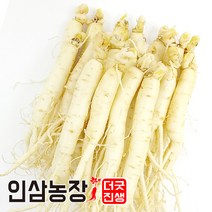 더굿진생 금산 인삼 햇 원수삼 세척 수삼 삼계탕인삼 실속형 업소용 오쿠용, 1개, 세척 원수삼450g(14~16뿌리)