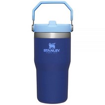 스탠리 스플로우 스테인리스 스틸 텀블러 빨대 포함 제이드, 20oz, Lapis