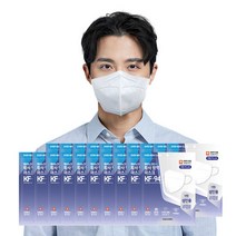 에버뉴크린 새부리형 마스크(KF94)(화이트/특대형) 100입, 단품, 단품