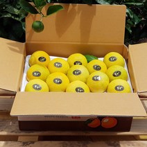제주황금향 5kg(25~32수 가정용) 중과로 채워진 실속있는 가격 엣지있게 상큼한 맛!
