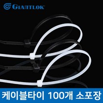 자이언트록 케이블타이 전선타이 전선정리 100mm~300mm 소포장 100개입, 100mm(2봉), 블랙