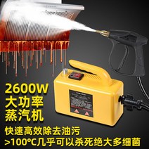 고압 스팀 청소 자동차 상업용 주방 후드 세탁기 소독, 2600W-가정용 에어브러시 하드커버-블랙
