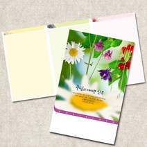주보용지 3단 주보 교회 예배 주보인쇄 기성 디자인 칼라 청년부 주보 제작 기독교용품, EW-42