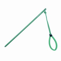 kinnoscuba 알루미늄 합금 랍스터 티클 스틱 포인터 로드 w랜야드 수.. 정품보장, Green
