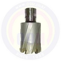 브럿치컷터(LONG) 50 X 50 TCT (AGP), 상세확인