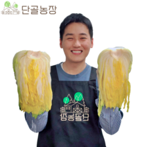 [예약배송] 땅끝 해남 일반 GAP HACCP 소금으로 절인 천일염 절임배추 20kg, 해남 절임배추 / 20kg(7~11포기)