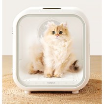애완 동물 건조 상자 고양이 자동 건조기 가정용, 50L 스마트 건조 상자