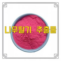 소율국제 나무딸기 수리 복분자 추출물 분말, 20:1, 200g, 1개
