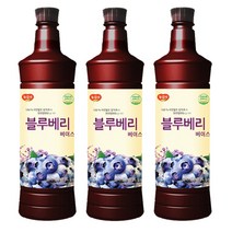 광야식품 블루베리 베이스 970ml, 3개