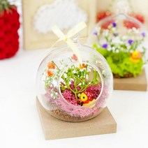 테라리움만들기 테라리움키트 이끼키우기 봄만들기 꽃테라리움 어르신만들기 친환경 초등 성인 어르신 집콕놀이 만들기키트 취미DIIY