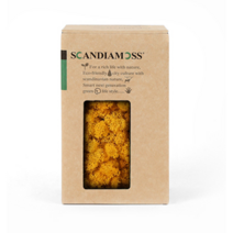 스칸디아모스 150g 색상20종 공기정화 천연이끼 모스 DIY 학교 수업, 150g클래식블루