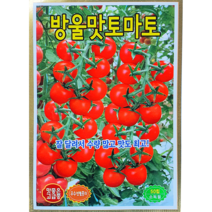 [씨앗맛집] 방울맛토마토 고당도 레드 방울 토마토 채소 야채 씨앗 씨 모종 종자 재배 키우기