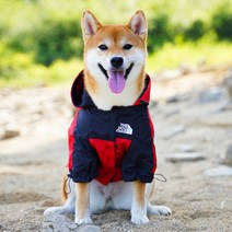 방풍 재킷 워터프루프 촬영 패턴 산책 여름 외출복 강아지 판초 우비 비옷 반려견, 적염홍, 2XL(체중 8.0-13.0kg 참고)