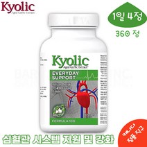 마늘보충제 쿄릭 숙성마늘 추출물 표물러 에브리데이 서포트 360캡슐 키올릭 마늘영양제 쿄릭마늘 고약사 약들약 kyolic Formula 100 360cap, 1병, 360 캡슐