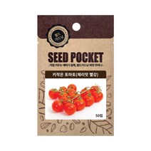 월드가드닝 키작은 토마토 씨앗(체리맛 빨강) 방울토마토, 1개