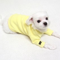 도기코디 무지 긴팔 티셔츠 애견 강아지봄옷 가을옷, 옐로우