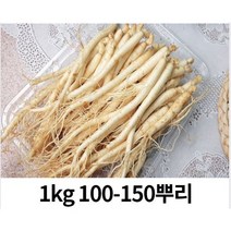 실속 세척인삼 수삼 인삼 1kg 100-15 뿌리 (빠른배송) 삼계탕 갈비탕용