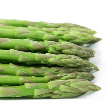 야채24닷컴 생 아스파라거스 500g, 1개