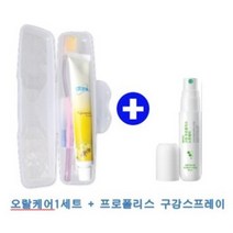 애터미 오랄케어시스템 1세트 + 프로폴리스 구강스프레이1입
