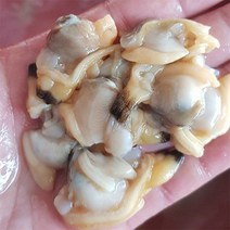 자연맛남 남해안 깐 바지락 순살 중량별 500g 1봉/2봉, 02.깐 바지락 순살 500g x 2봉