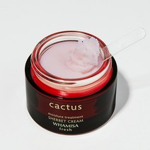 화미사 천연 비건 선인장 셔벗 고보습 크림 순한 수분 미백 주름개선 45g, 1개