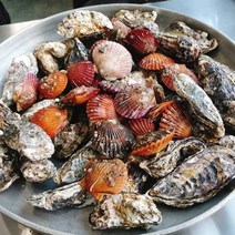 통영굴 직접생산 생굴 석화5kg 10kg, 1
