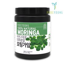퓨어영 모링가 분말 300g, 1통
