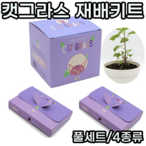 고양이 반려묘 캣그라스 식물 캣닢 캣잎 키우기 재배 키트 집사 선물, 캣닢세트(본품1개+리필키트2개)