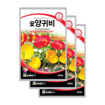 꽃 양귀비 씨앗 2000립 3봉 개양귀비 종자 노지월동 다년생 꽃씨 shirley poppy, 5봉
