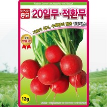 적환무 20일 씨앗 적환무 씨 종자 12g, 1개