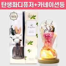 탄생화 디퓨저 선물 세트 12월 탄생화 목화 + 카네이션 무드등 선생님 부모님 어버이날 엄마 장모님 생신선물 프리저브드 플라워 생화 실내 디퓨저 실내 방향제 디퓨져, 레몬그라스, 핑크, 300ML