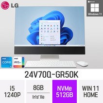 LG전자 24V70Q-GR50K 24인치 인텔 12세대 i5 Iris Xe Win11 Home 사무용 인강용 재택근무용 일체형 PC, 8GB, 512GB