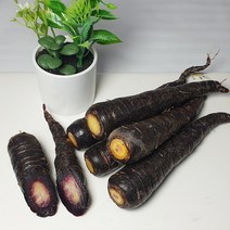 해남 자색당근 1kg/ 2kg/ 3kg (크기혼합) 손질 세척해서 편리한 보라색당근, 자색당근 1kg (손질세척)