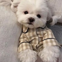셀럽독 강아지 체크 잠옷 시밀러룩 커플룩 강아지 실내복 수면복 내복, 네이비