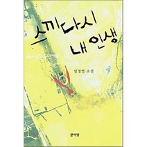 스끼다시 내 인생, 문이당, 임정연 저
