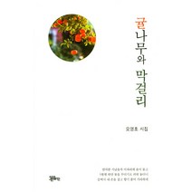 귤나무와 막걸리:오영호 시집, 정은출판, 오영호