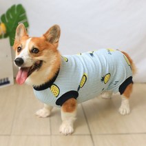 강아지 수술복 환견복 중성화후 보호 그루밍방지 A02, 블루 통기성