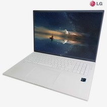 LG 17그램 i5-11th iris Xe 512GB 8GB 17인치 최신형그램