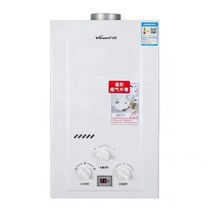 소형 가스 순간 온수기 LPG LNG 벽걸이형 10L, 액화 석유 가스, 10리터