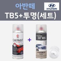 현대 아반떼 TB5 틸블루 주문컬러 스프레이 + 모투명마감용스프레이 자동차 카 페인트 200ml