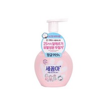 핸드워시 파우더향 250ml