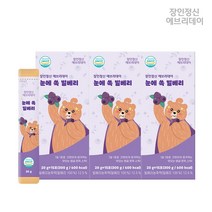 안토시아닌 눈건강 젤리 스틱 눈에 쏙 빌베리, 15포, 3박스