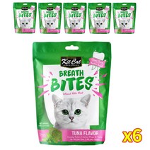킷캣 브레쓰 바이트 고양이 간식 60g, 참치맛, 6개