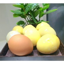 공깃돌쉐키란 동물복지 HACCP인증 무항상제 삶은계란 50g 15구, 찐쉐키란