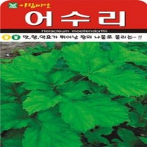 AR 어수리(50립) 산채종자 씨앗