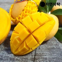 자연식탁 G 태국망고 선물세트 9과 중대과(개당 330g내외)-실중량 보자기포장, 단일옵션