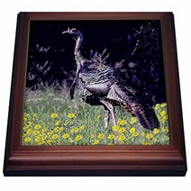 3dRose trv_720_1 Wild Turkey Gobbler Trivet with Ceramic Tile 8 by 8” Brown, 1