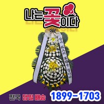 포항시 인증 구룡포 건오징어 특대 3미 (냉동), 290g, 1개