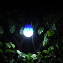 캠핑 야외 조명 램프 차박 무드등 DD-10281 타프 차박 건전지 전등선 랜턴 방수 야외전구 조명, 쿠팡 그린, 쿠팡 본상품선택